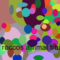 roccos animal trainer