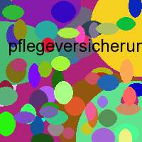 pflegeversicherung 1 95